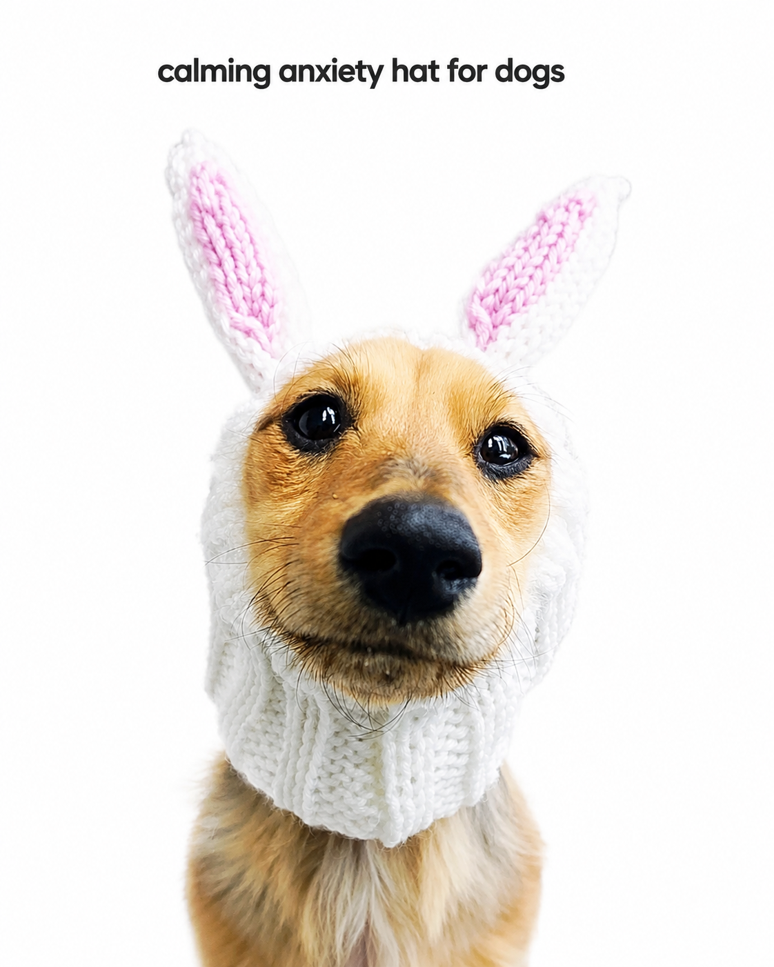Calming Anxiety Hat for Dogs