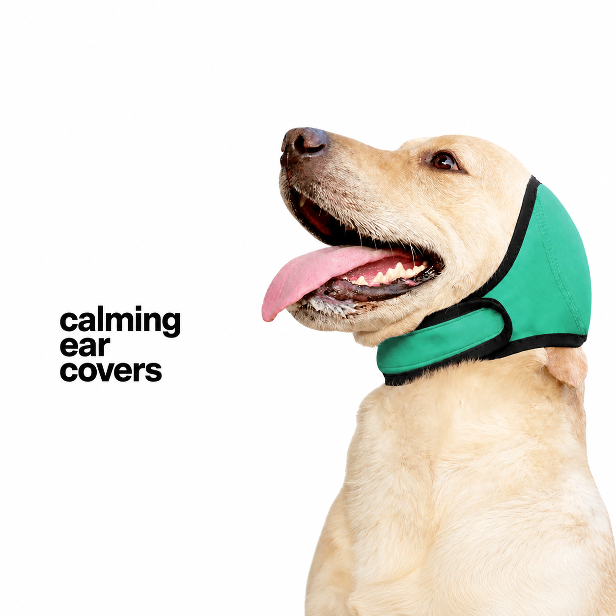 Dog Calming Ear Covers