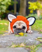 Calming Anxiety Hat for Dogs